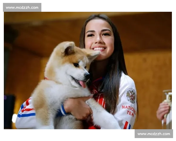 秋田犬竞技大赛精彩纷呈 展现忠诚与勇气的无尽魅力 秋田犬竞技大赛精彩纷呈 展现忠诚与勇气的无尽魅力